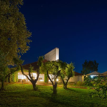 Locanda Dell'Angelo Luni Exteriér fotografie